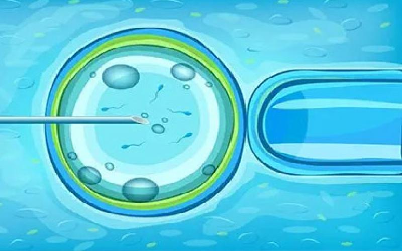 试管血液采集方法代生